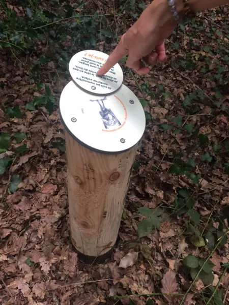 Balade - Sentier d'interprétation du Bois du Bruel (Vabre-Tizac)