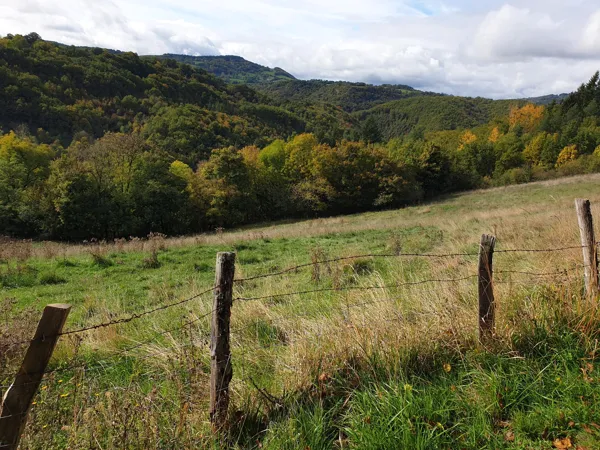 Lecture de paysages orientée biodiversité