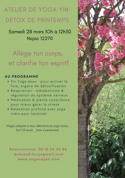 Atelier de yoga yin detox de printemps
