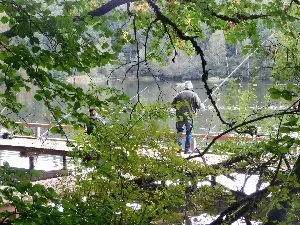 Lac de la Gourde, OFFICE DE TOURISME DE PARELOUP LEVEZOU
