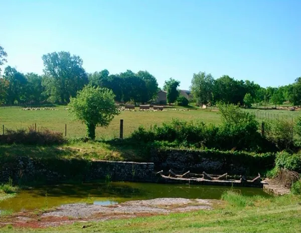 Visite Ferme des Cazalous - photo 5