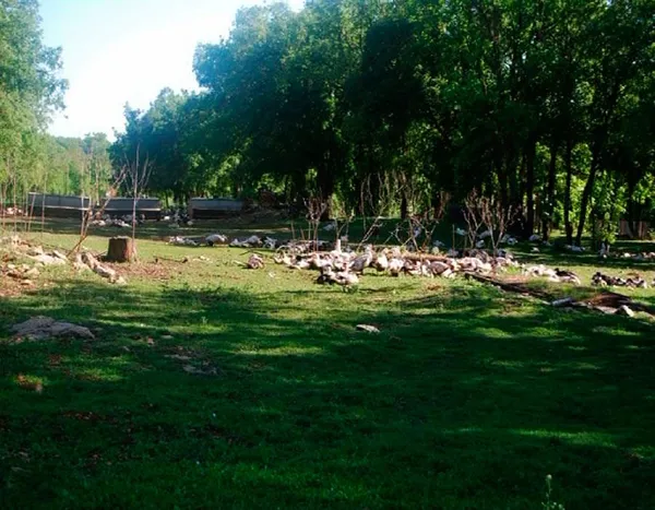 Visite Ferme des Cazalous, OFFICE DE TOURISME REGIONAL DE VILLEFRANCHE DE ROUERGUE