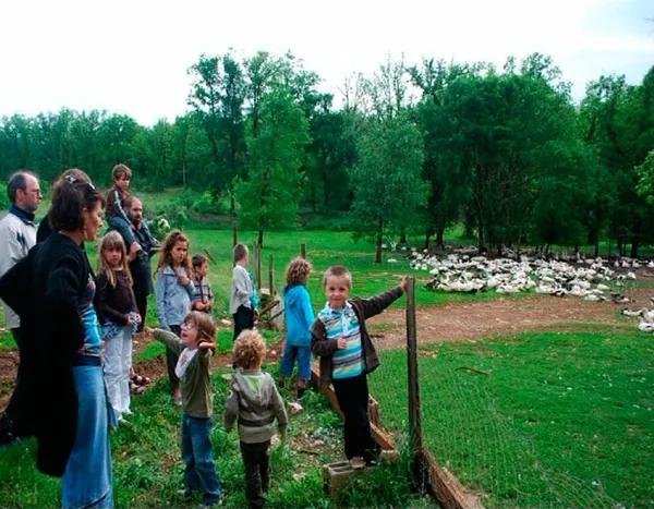 Visite Ferme des Cazalous, OFFICE DE TOURISME REGIONAL DE VILLEFRANCHE DE ROUERGUE