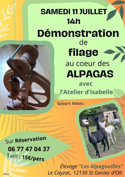 Démonstration de filage au cœur des alpagas, OT Causses Aubrac