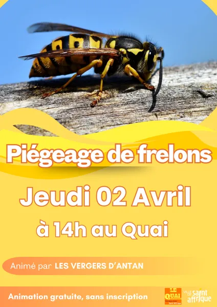Piégeage de frelons