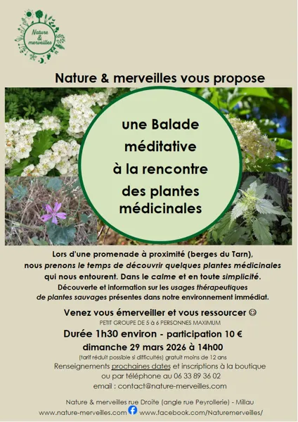 Balade à la rencontre des plantes - Nature et Merveilles