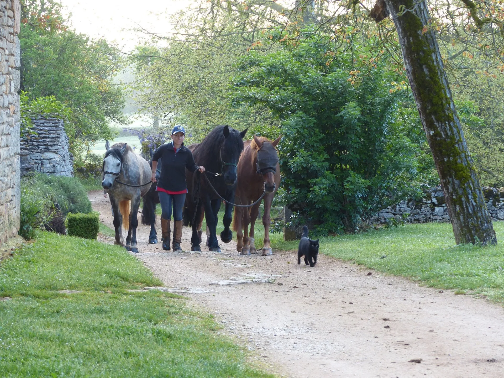 Centre équestre du Château de Laumiere, OT Villefranche-Najac