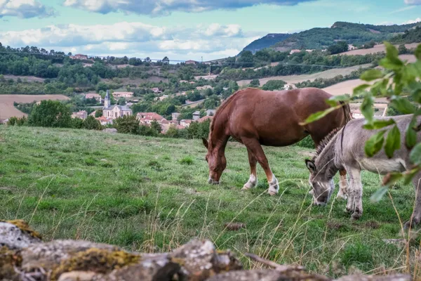 Le volcan des Causses