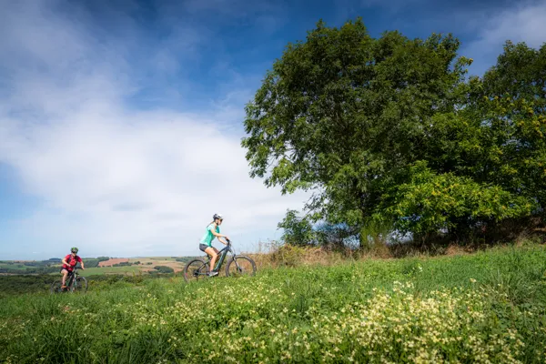 N°19 VTT - À fond les vallons !, Xavier Waerzeggers