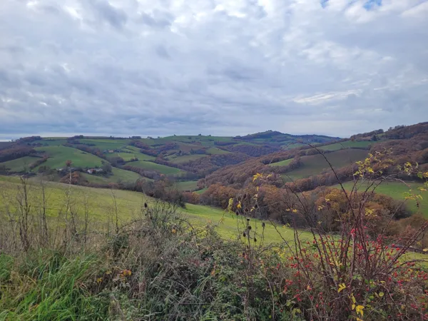 Nature et détente, ROQUEFORT TOURISME