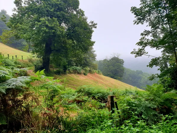 Sentier de Vérouls, Office de Tourisme Pays du Roquefort