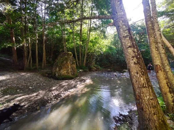 Sentier du Menhir, ROQUEFORT TOURISME