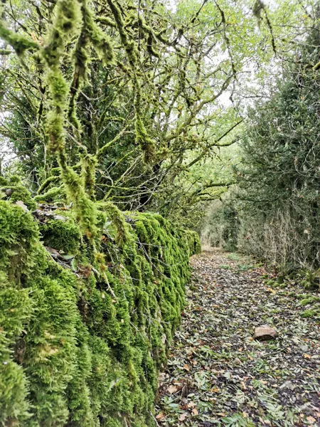 Randonnée de Galinières, Office de Tourisme des Causses à l'Aubrac