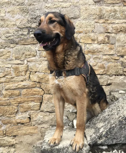 La Calade - Sylvie Jung, La Calade - Sylvie Jung