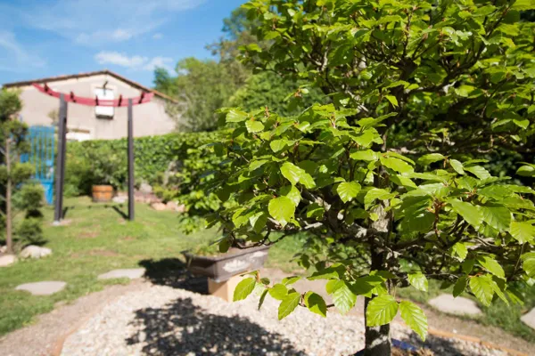 Domaine du Vern, Domaine du Vern