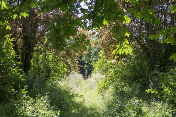 Domaine du Vern, Domaine du Vern