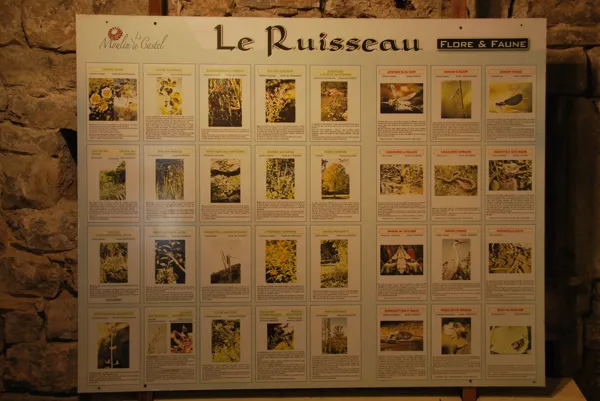 Le Moulin de Castel (groupes) Un des tableaux de faune et flore locale, Le Moulin de Castel