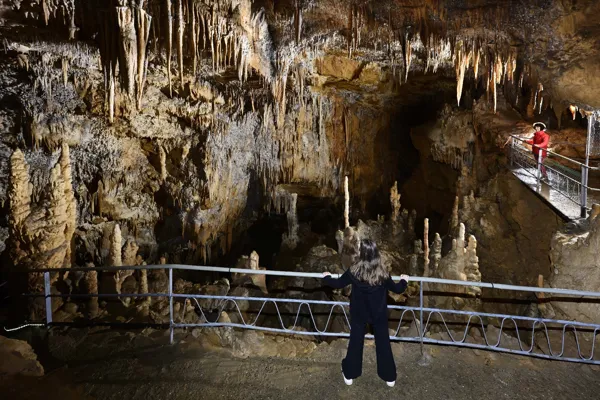Grotte Préhistorique de Foissac (groupes), GROTTE PRÉHISTORIQUE DE FOISSAC
