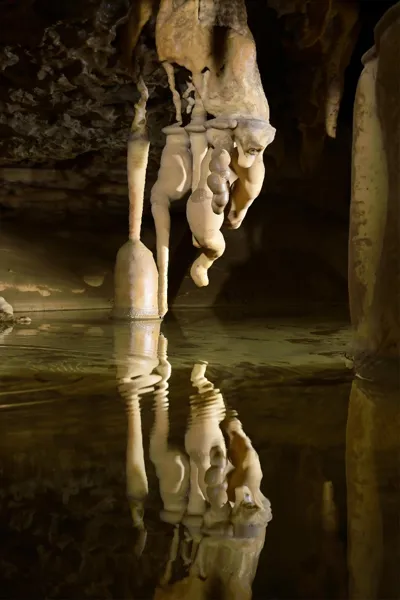 Grotte Préhistorique de Foissac (groupes), GROTTE PRÉHISTORIQUE DE FOISSAC