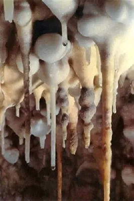 GROTTE PRÉHISTORIQUE DE FOISSAC, GROTTE ET PARC PRÉHISTORIQUES DE FOISSAC