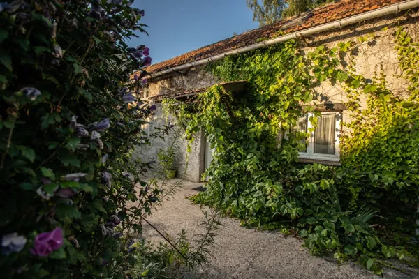 terrasse gîtes les coprins chevelus avec salon de jardin, parasols et  barbecue, Greg Alric