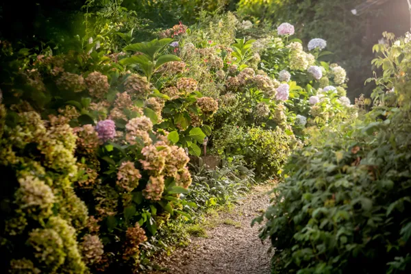 jardin fleuri, Greg Alric