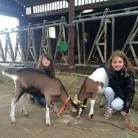 La Ferme du Lévézou accueil de groupes, La Ferme du Lévézou
