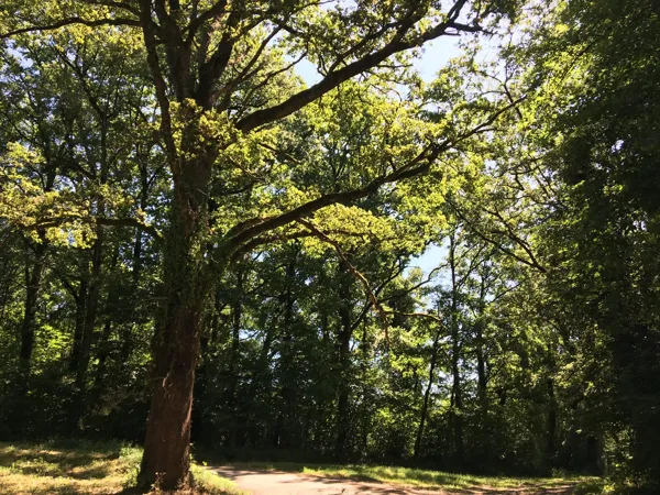 L'Escalayrie, maison en Rouergue, L'Escalerie