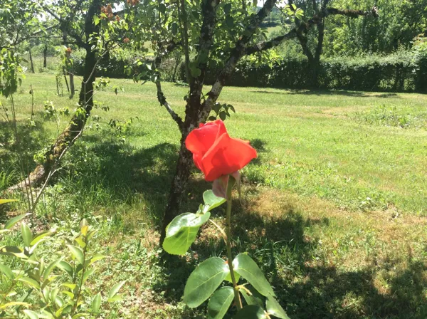 L'Escalayrie, maison en Rouergue, L'Escalerie