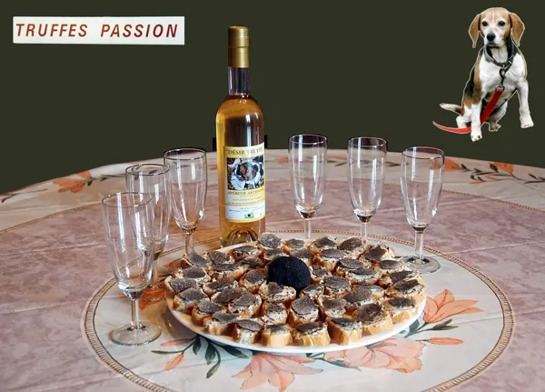 Truffes passion, OT Villefranche-Najac