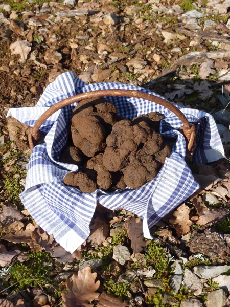 Truffes passion, OT Villefranche-Najac