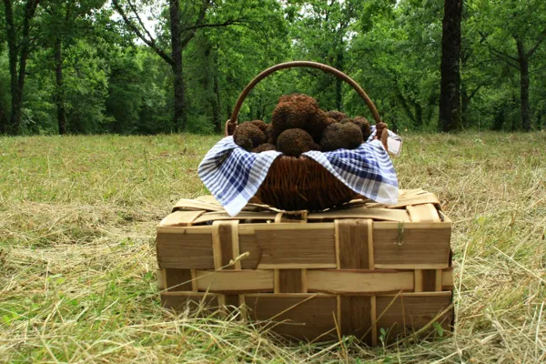 Truffes passion, OT Villefranche-Najac