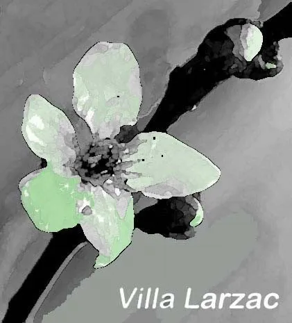 logo Villa Larzac, 