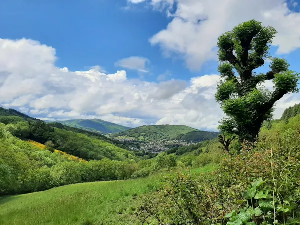 Randonnée Les Vaysseries, Rebecca Tchekinian OT Causses Aubrac