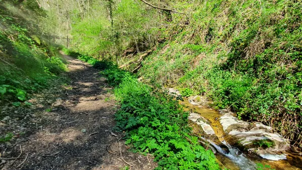 Chemin du Barribès, ruisseau le Barribès, OT Causses Aubrac