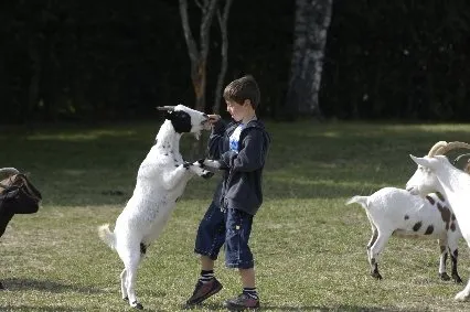 Les enfants profitent de la mini-ferme, LES SENTIERS DE LA DECOUVERTE