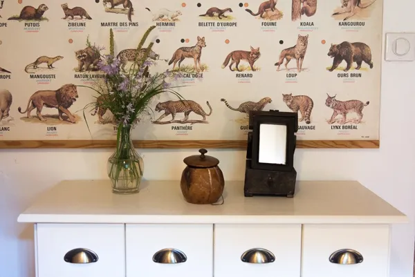 Chambre mammiphères, Château de Salamon