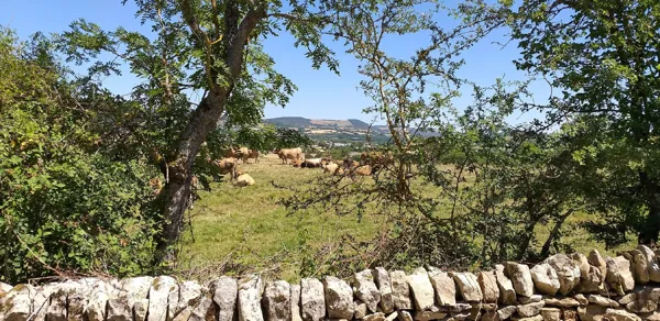 Le Clos des Légendes, Emilie MOREAU