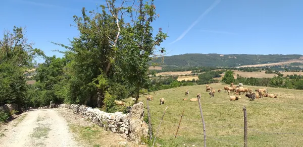 Le Clos des Légendes, Emilie MOREAU