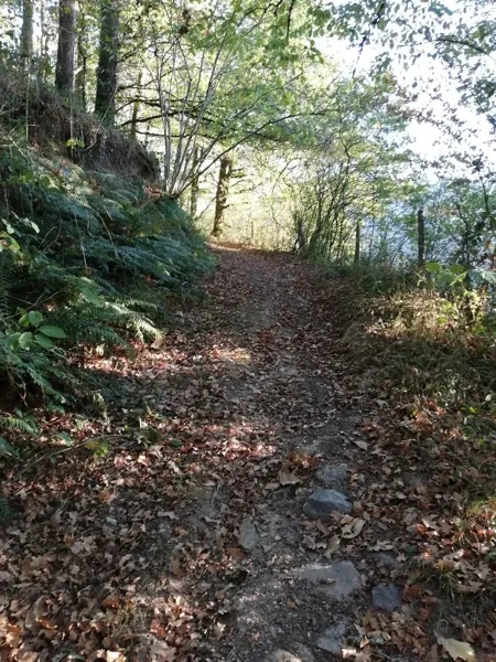 Sortie randonnée pédestre - Autour de Brommes