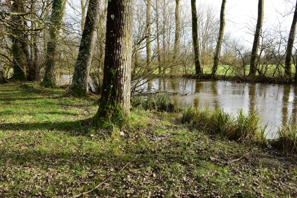 L'Aveyron à Laissac, Fédération de pêche de l'Aveyron