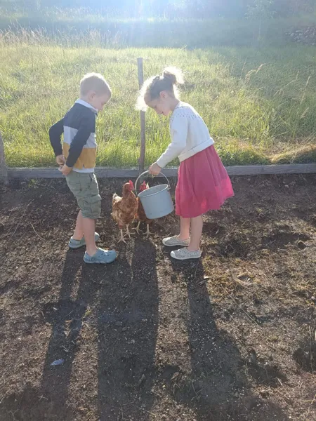 Les enfants sont ravis de côtoyer nos poules, qui ne font pas de bruits...