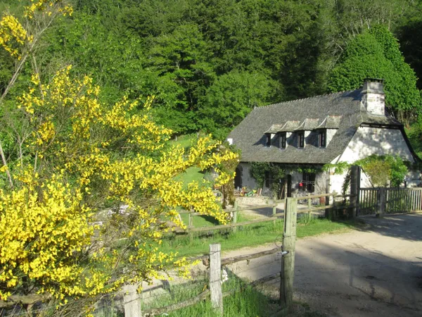 Gîte l'Estradié, Maud Tarrisse