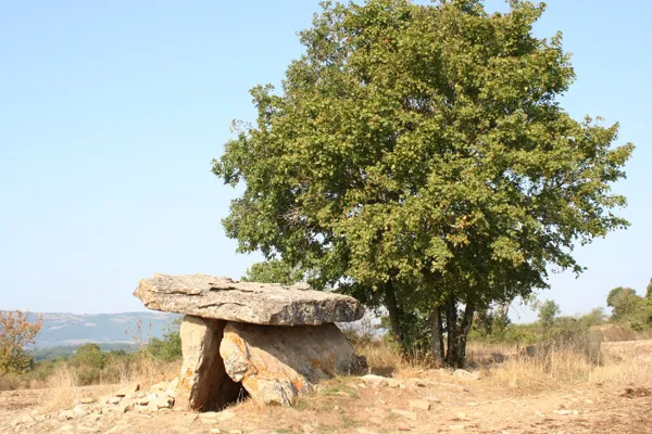 La Maison des Dolmens (groupes), Office de Tourisme des Causses à l'Aubrac