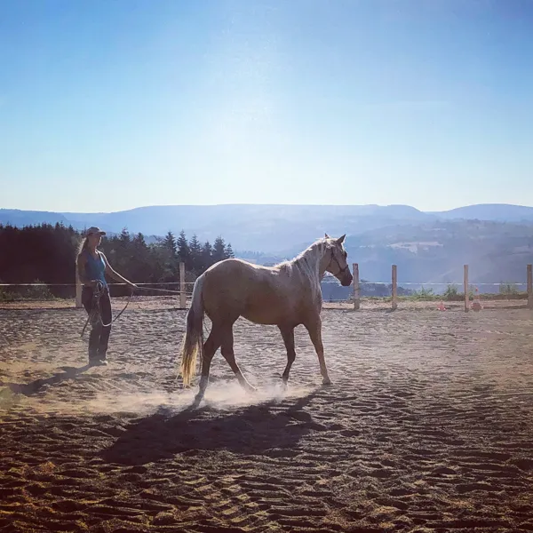 Roc'Aubrac - école d'équitation Western, 