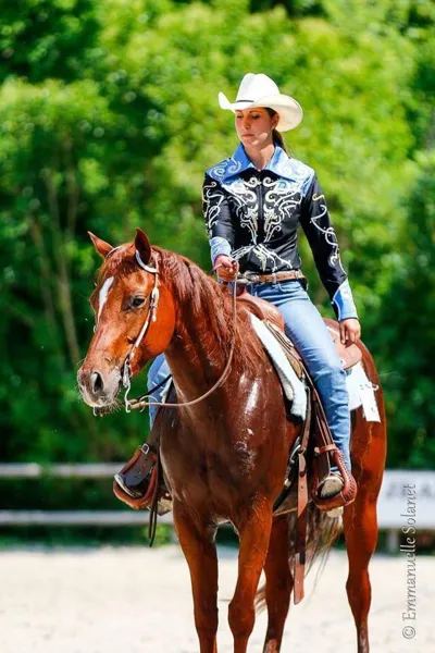 Roc'Aubrac - école d'équitation Western, 