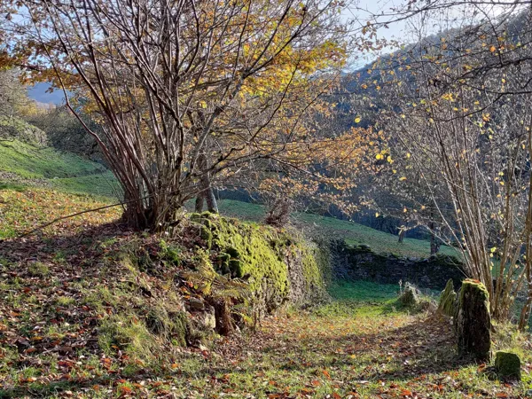 Le Mas del Bosc - H12G023876  
chemin sous le gîte sur la propriété, Brigitte JULIEN