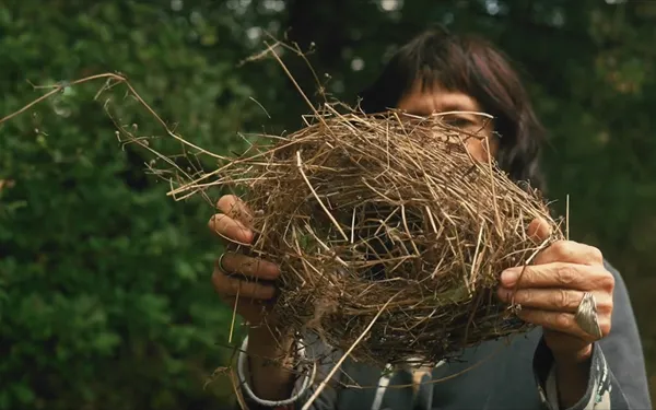 Rendez-vous aux Jardins : Comme on fait son nid...