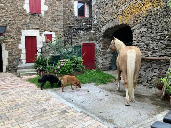 L'escapade de Jos, l'escapade de jos