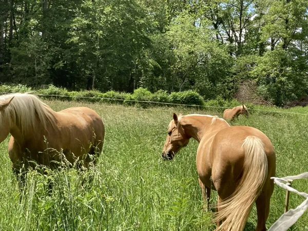 L'escapade de Jos, l'escapade de jos